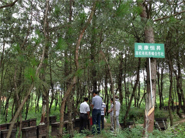 有機蜂場