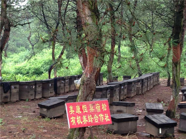 有機蜂場